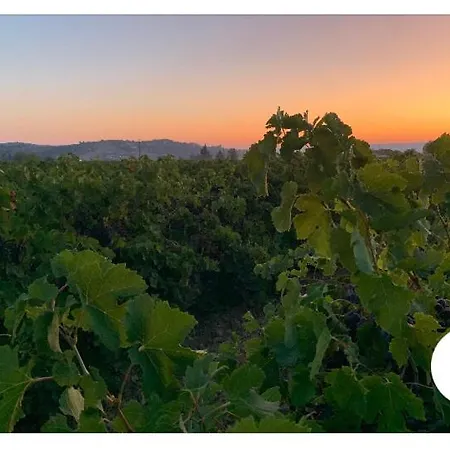 Limoux Villa